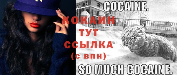 хмурый Сосновый Бор