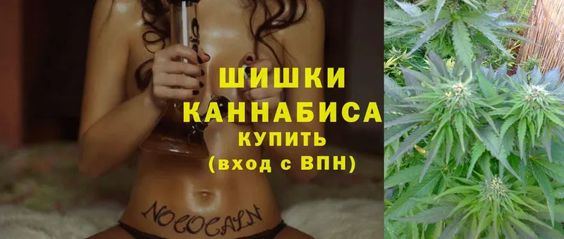 Шишки марихуана Amnesia  OMG маркетплейс  darknet какой сайт  Кировск 